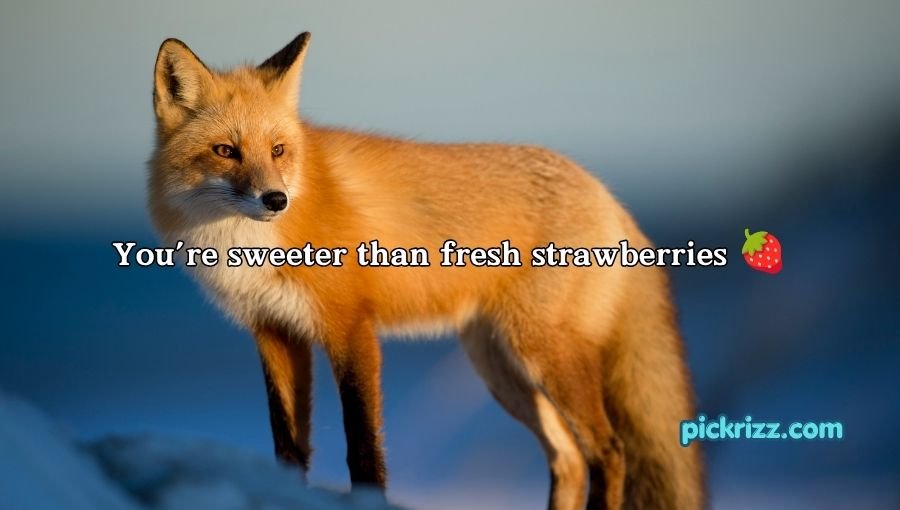 Fox Pickup Lines