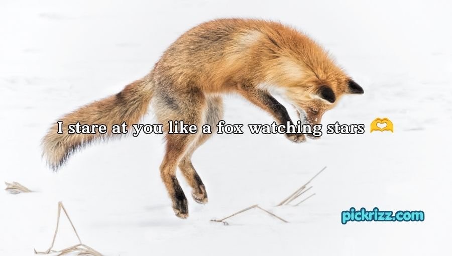 Fox Pickup Lines