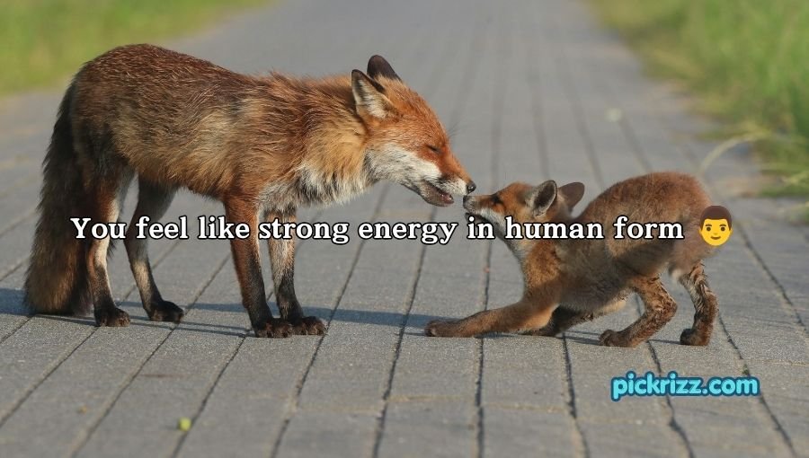 Fox Pickup Lines