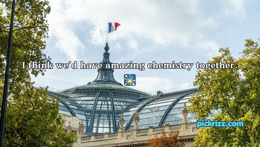 French Pickup Lines