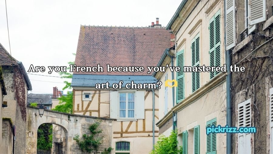 French Pickup Lines
