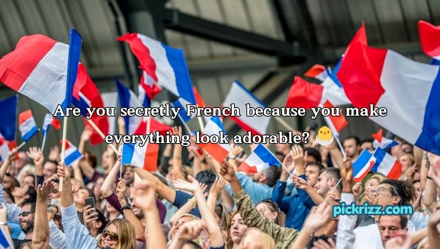 French Pickup Lines