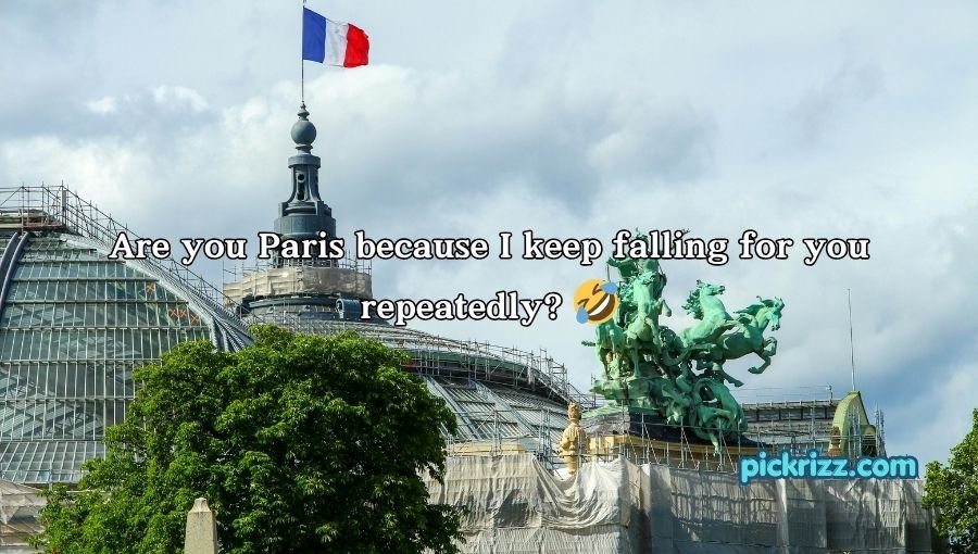 French Pickup Lines