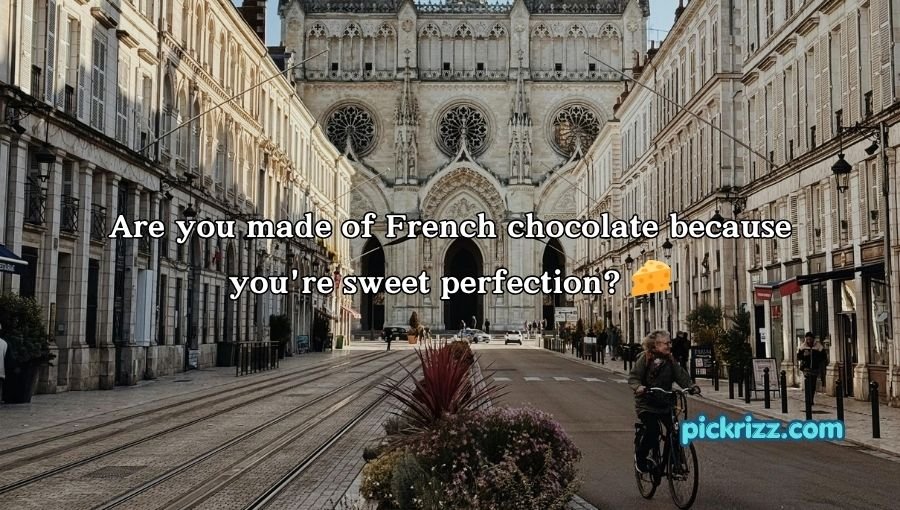 French Pickup Lines