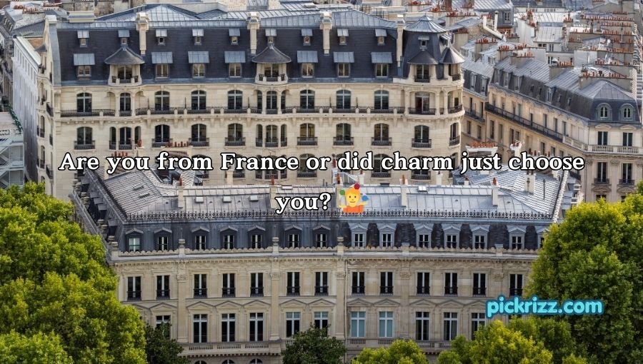 French Pickup Lines