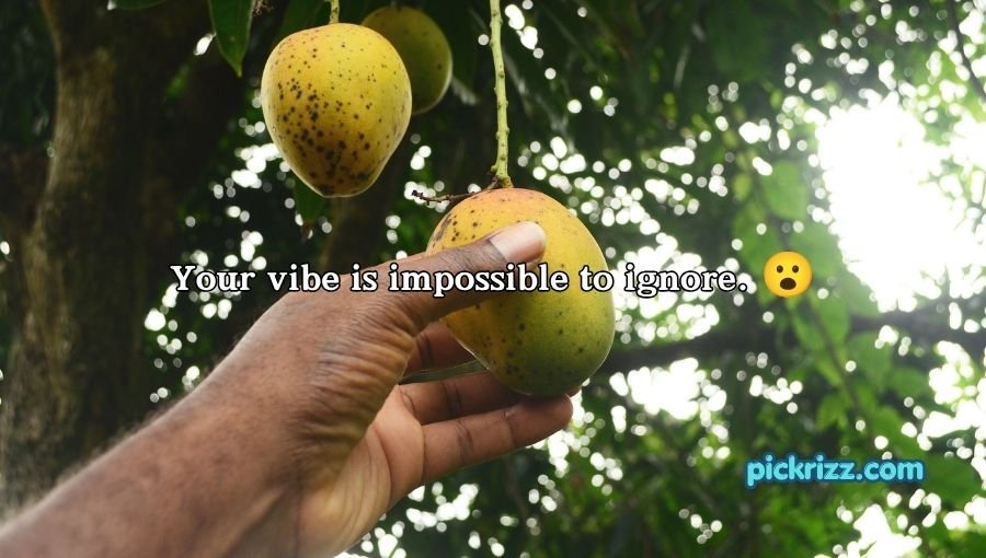 Mango Pick Up Lines
