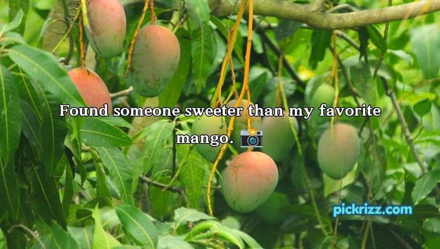 Mango Pick Up Lines