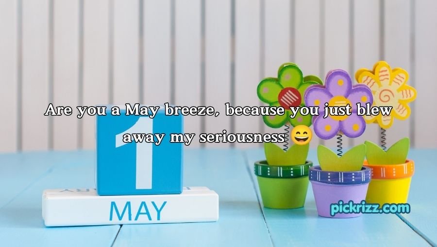 May Pick Up Lines