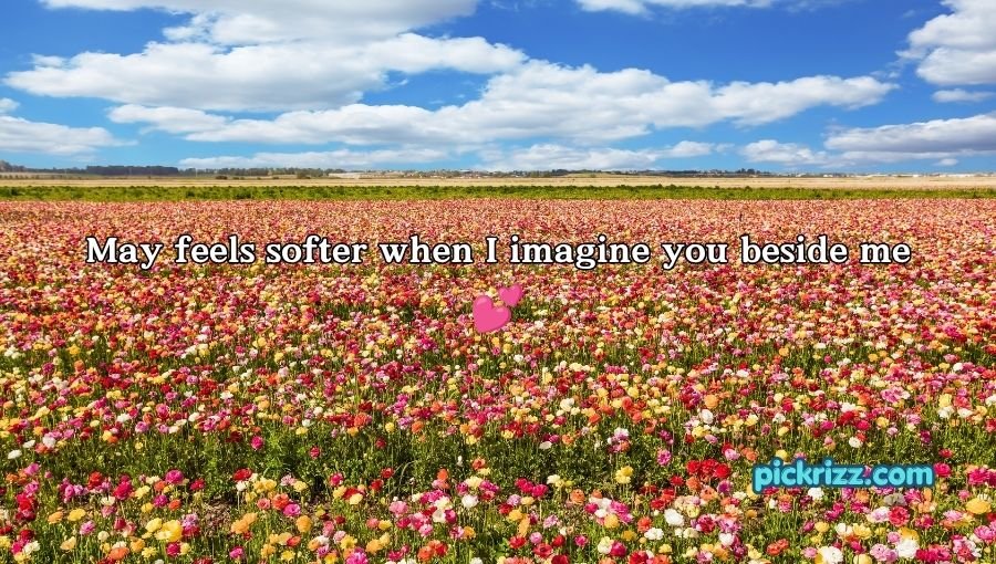 May Pick Up Lines