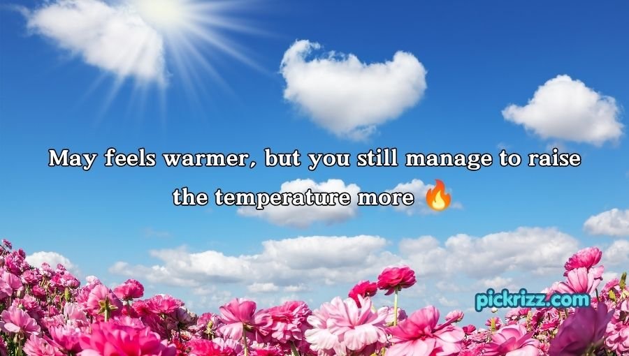 May Pick Up Lines