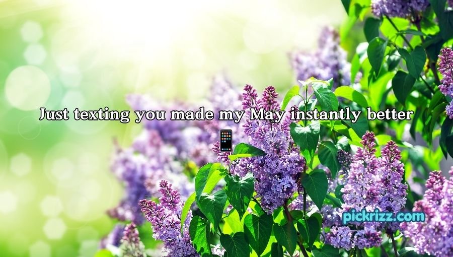 May Pick Up Lines