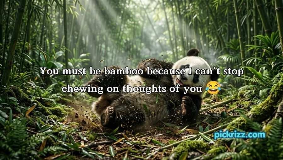 Panda Pickup Lines