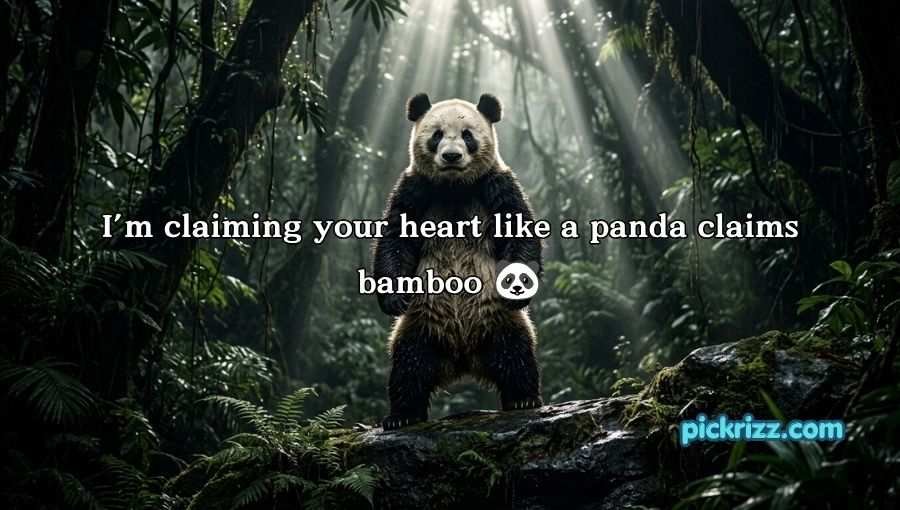 Panda Pickup Lines