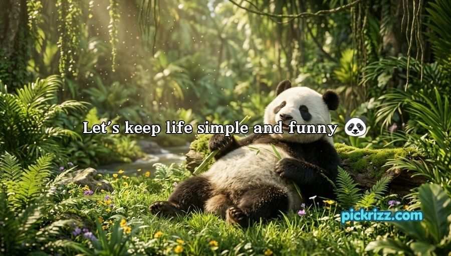 Panda Pickup Lines