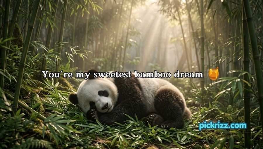 Panda Pickup Lines