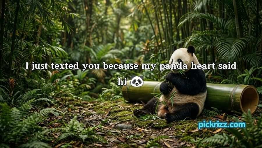 Panda Pickup Lines