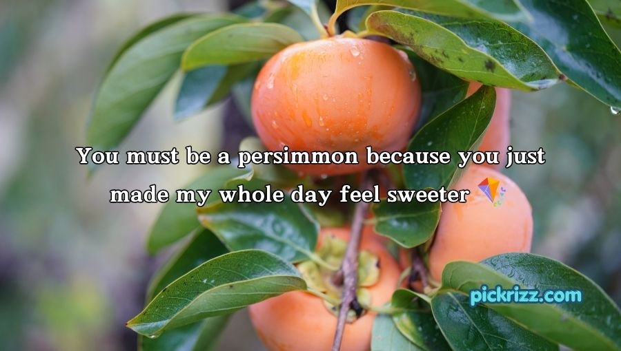 Persimmon Pick Up Lines