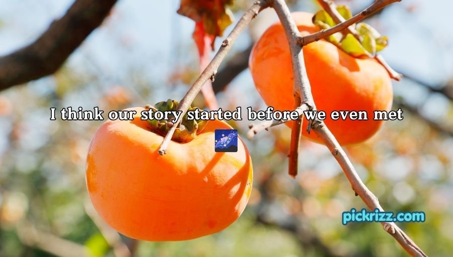 Persimmon Pick Up Lines