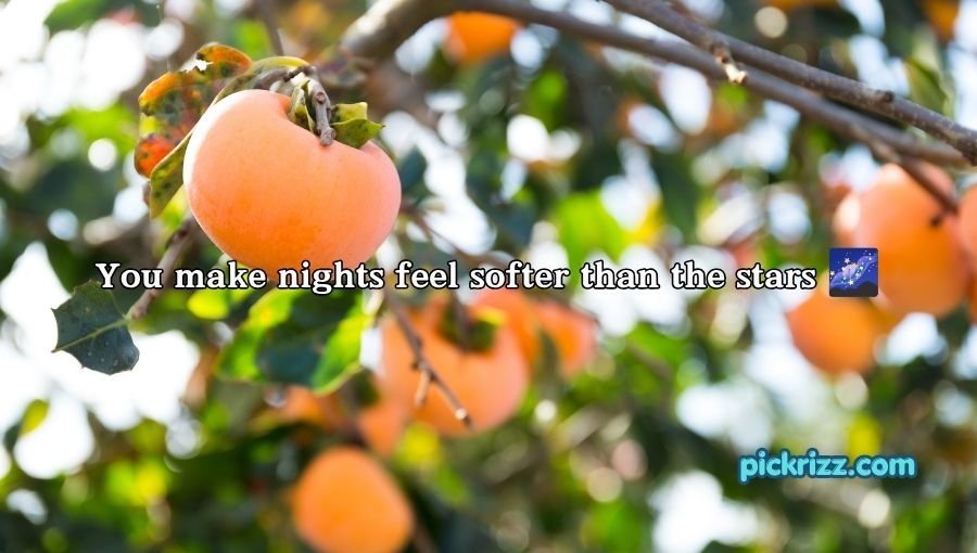 Persimmon Pick Up Lines