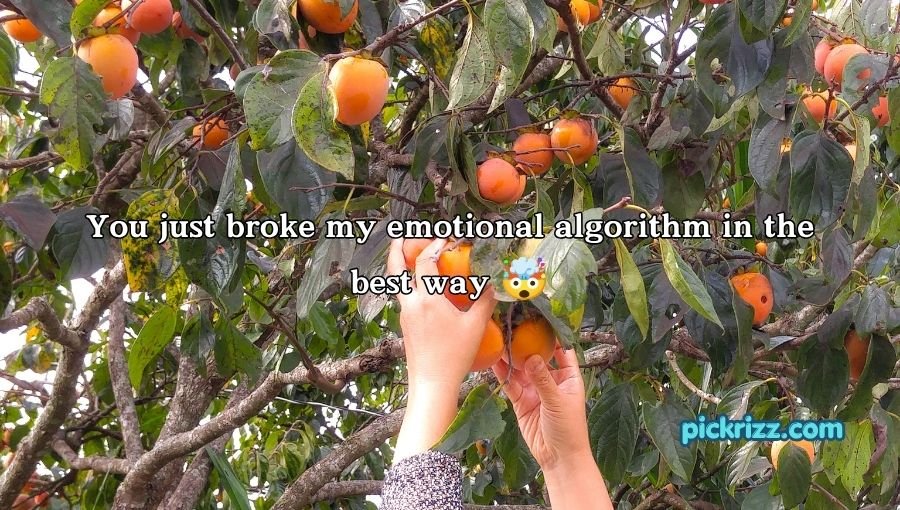 Persimmon Pick Up Lines