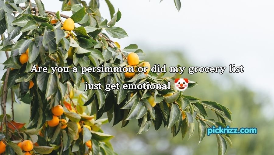 Persimmon Pick Up Lines