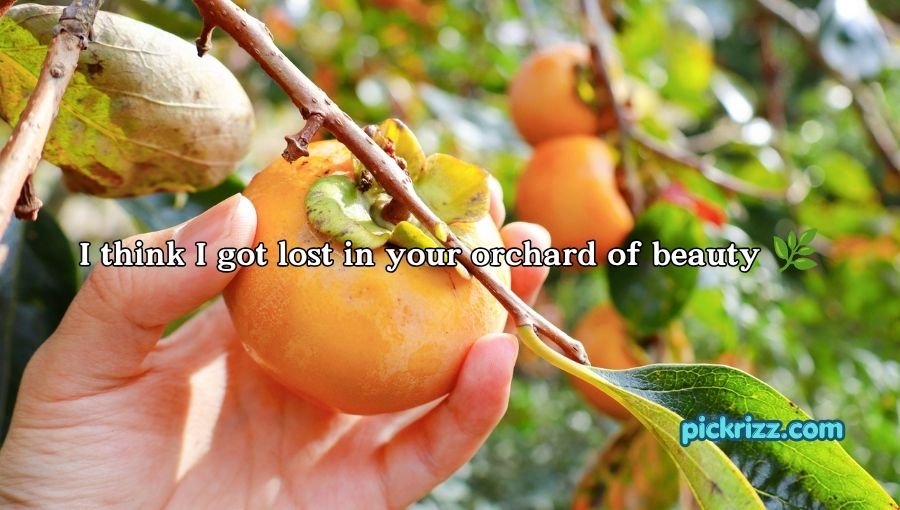 Persimmon Pick Up Lines