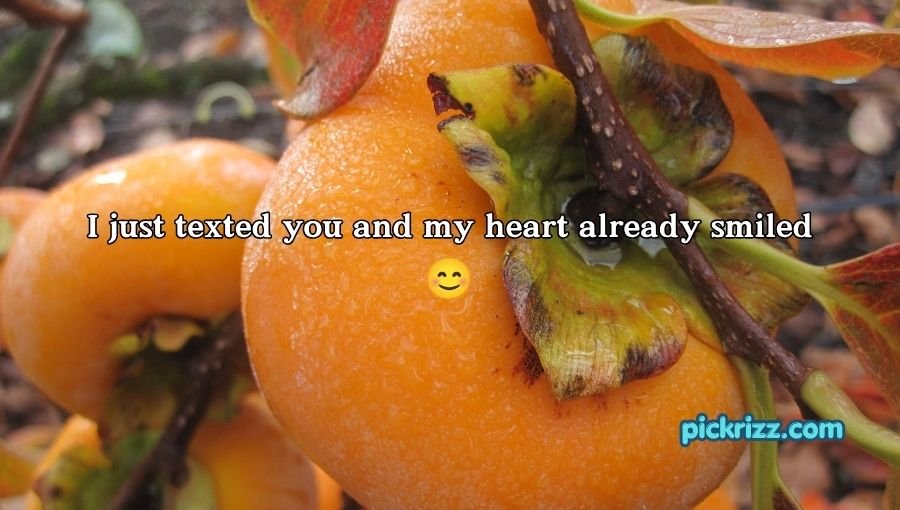 Persimmon Pick Up Lines