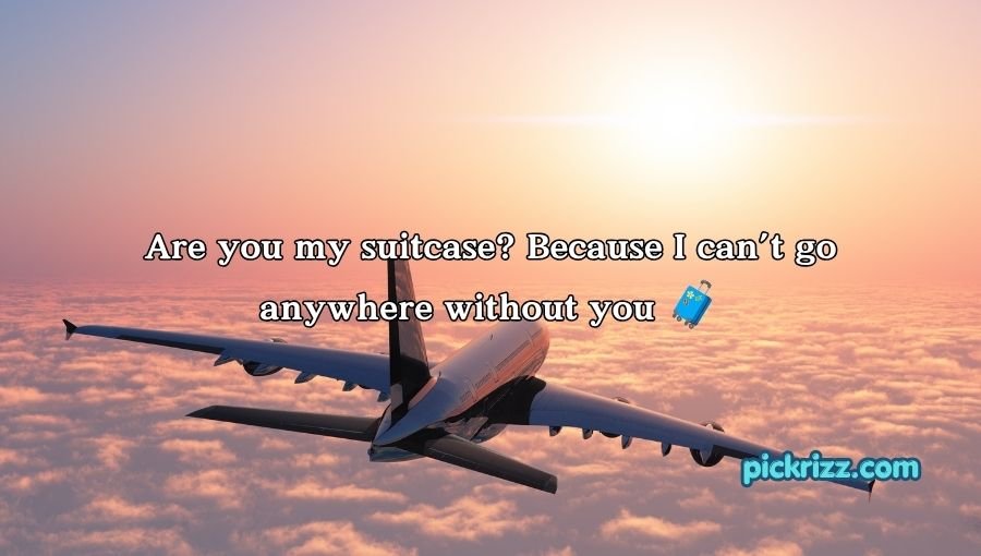 Plane Pick Up Lines