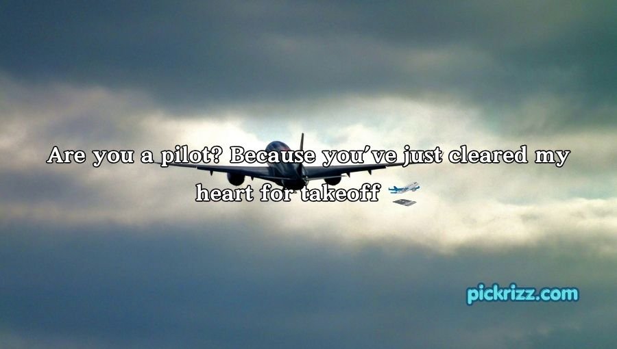 Plane Pick Up Lines