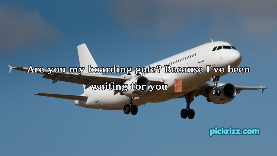 Plane Pick Up Lines