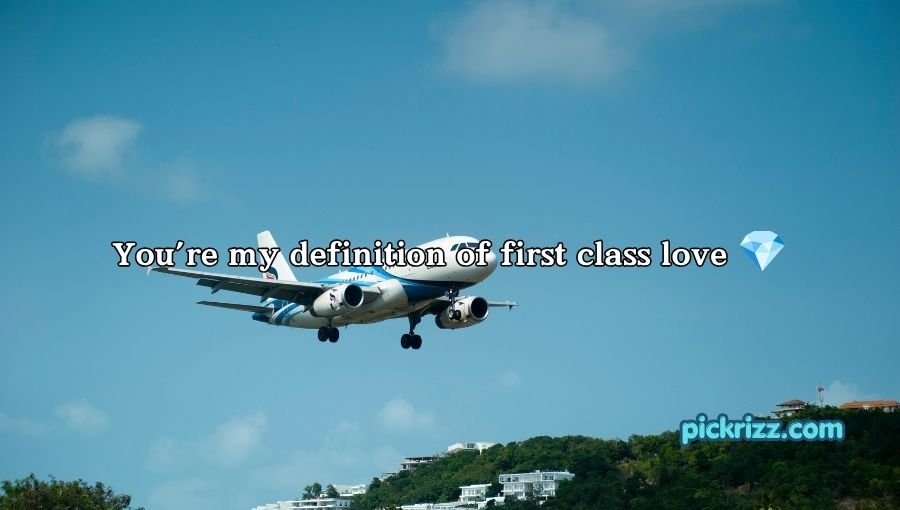 Plane Pick Up Lines