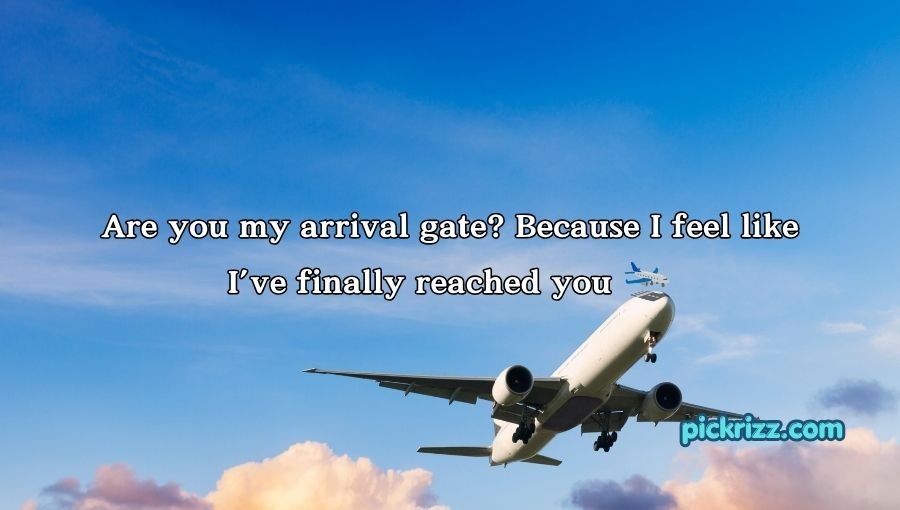 Plane Pick Up Lines