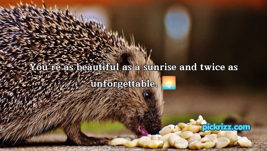 Porcupine Pickup Lines