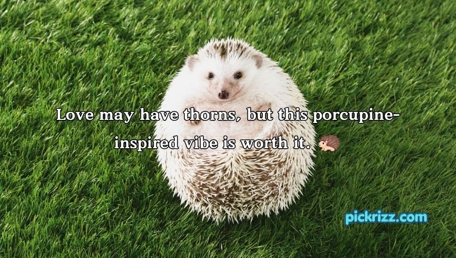 Porcupine Pickup Lines