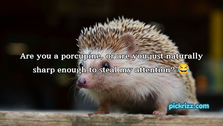 Porcupine Pickup Lines
