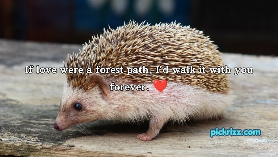 Porcupine Pickup Lines