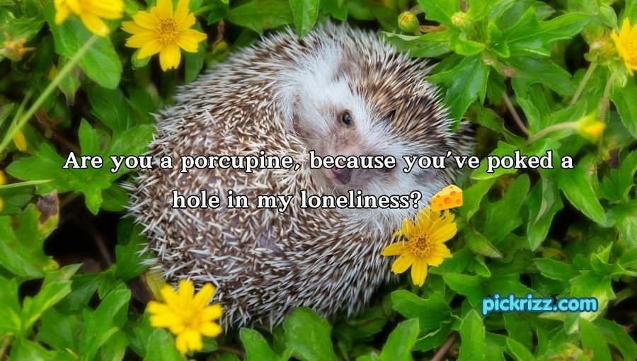 Porcupine Pickup Lines