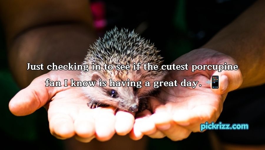 Porcupine Pickup Lines