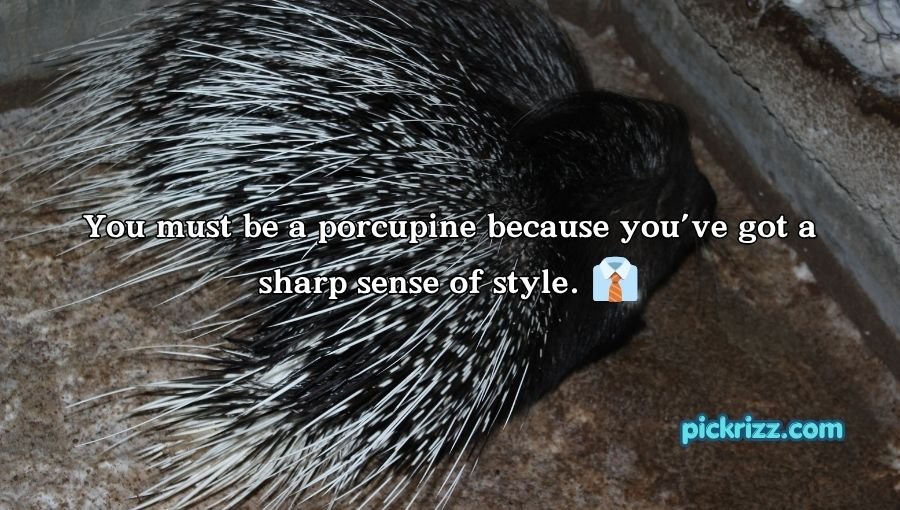 Porcupine Pickup Lines