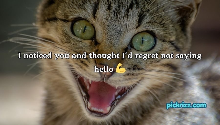 Stranger Pick Up Lines