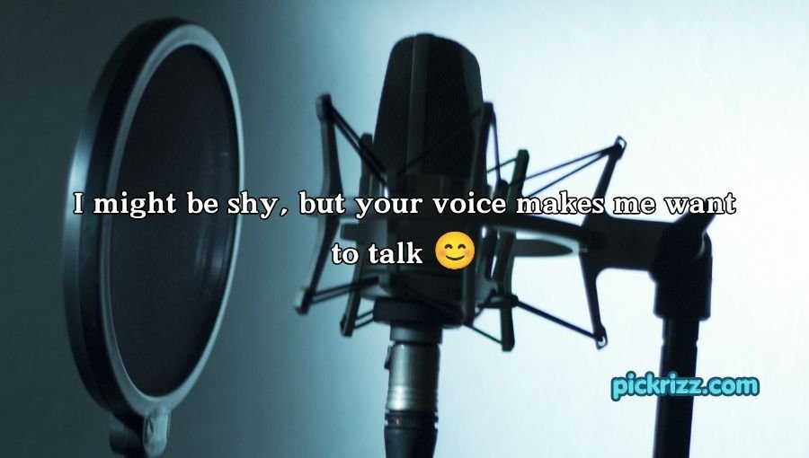 Voice Pick Up Lines