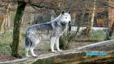 Wolf Pick Up Lines