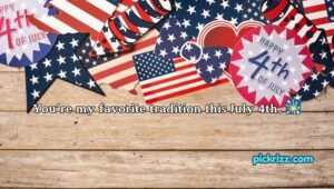 4th of July Pick Up Lines