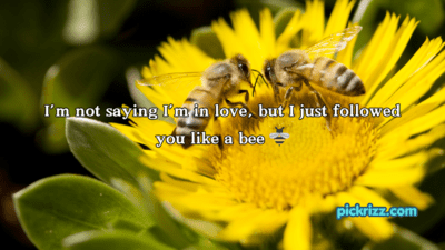 bee pick up lines