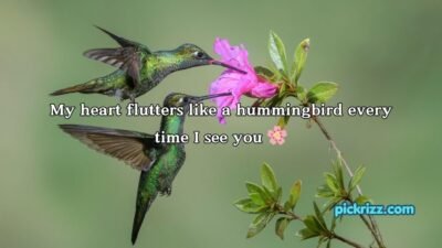Bird Pick Up Lines