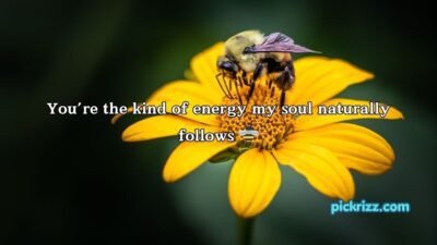 Bumblebee Pick Up Lines