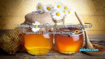 Honey Pick Up Lines