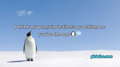 Penguin Pick Up Lines