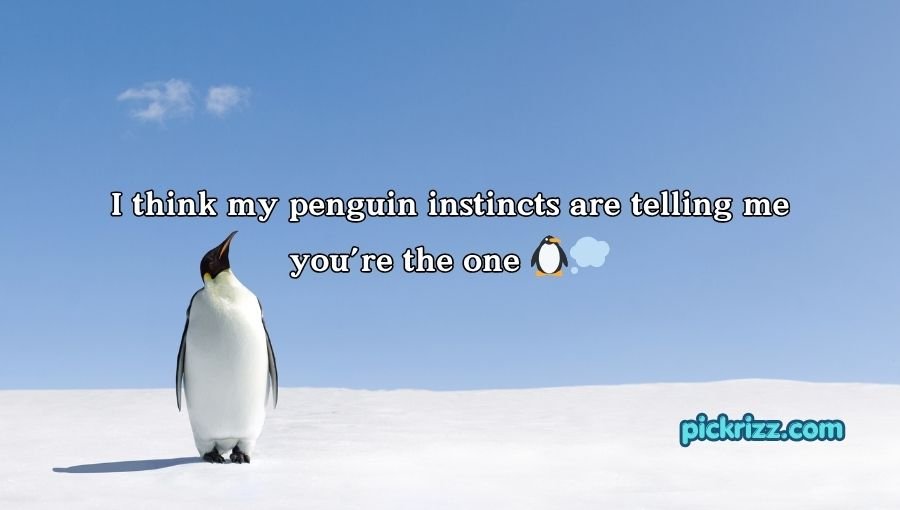 Penguin Pick Up Lines