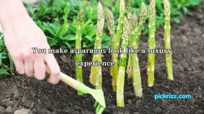Asparagus Pickup Lines